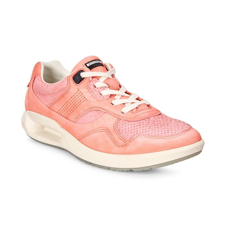 ecco cs16 ladies